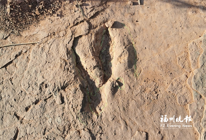 福建发现全球最大恐爪龙类足迹 位于龙岩上杭临城镇