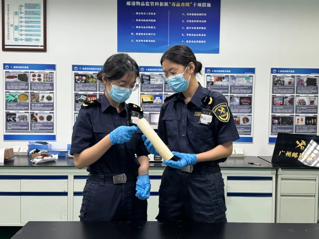 广州海关查获一段象牙，成年人小臂粗细