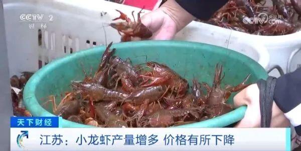 一地疾控提醒：建议一次食用小龙虾不超10只