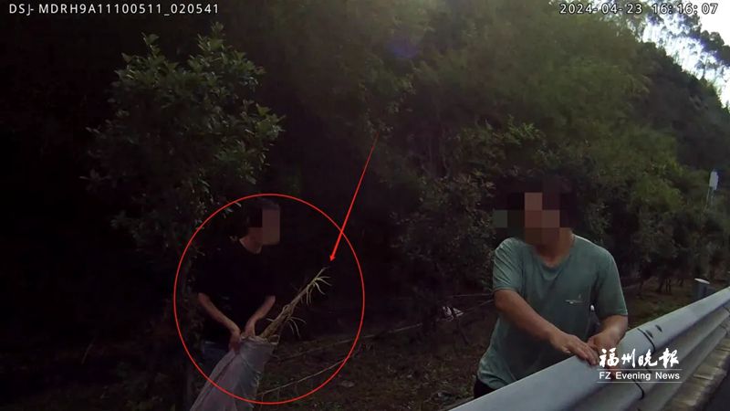 为了尝鲜在高速公路停车挖笋 男子被罚款200元驾驶证记9分