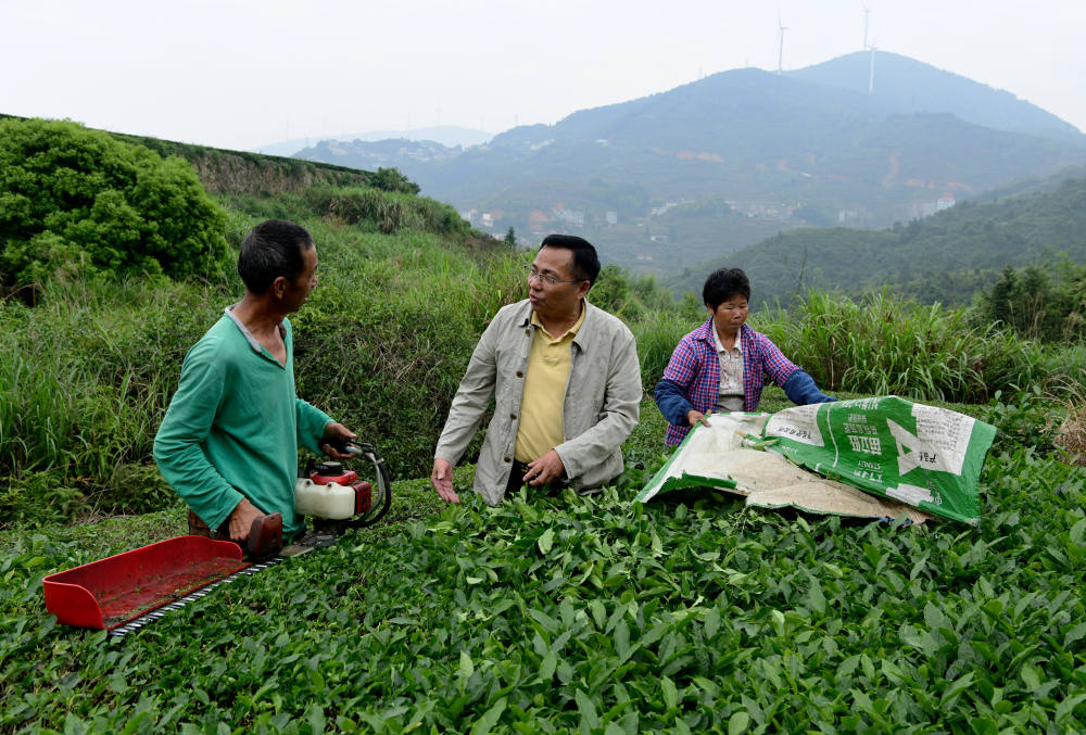 丰富食物“资源库” 唱好农业“山海经”——福建深入践行大食物观的经验启示