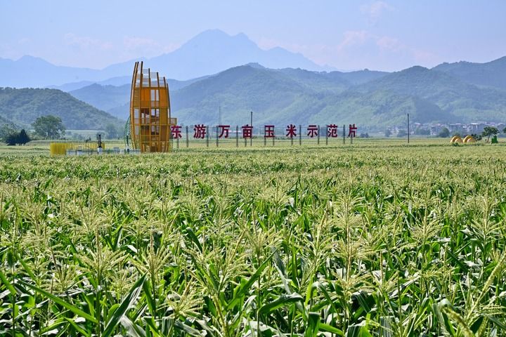 丰富食物“资源库” 唱好农业“山海经”——福建深入践行大食物观的经验启示