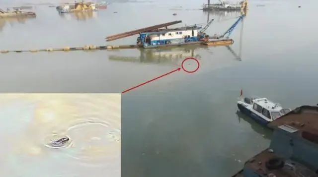 中央督察组暗访，发现小江豚在油污中拼命挣扎！当地官员称“只是条大青鱼”