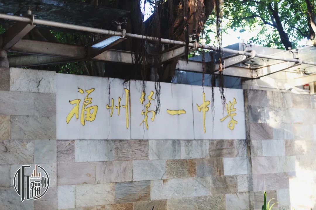 有声书 | 市区的这条巷子，差点被人“摆平”了……