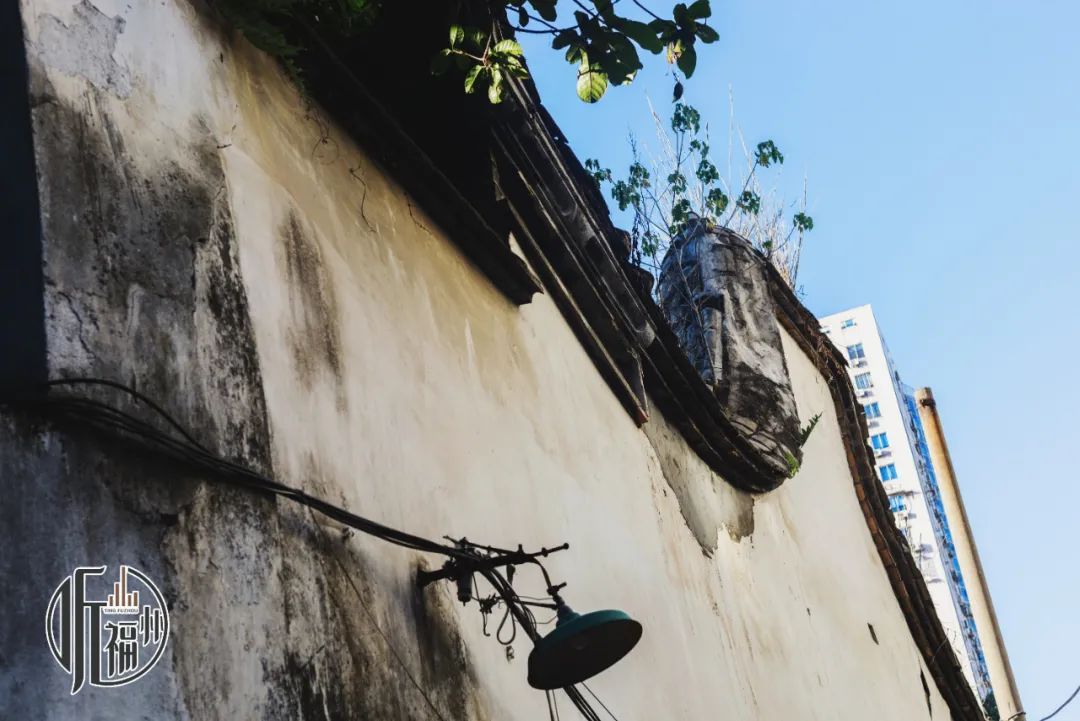 有声书 | 市区的这条巷子，差点被人“摆平”了……