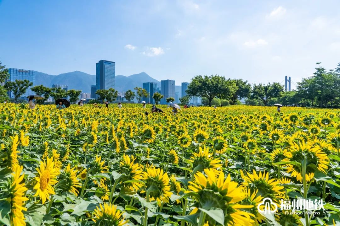 太有趣！福州地铁会合点上新！你最喜欢哪个？