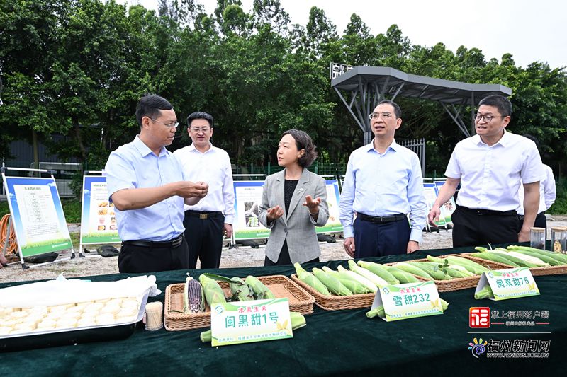 郭宁宁吴贤德赴马尾调研