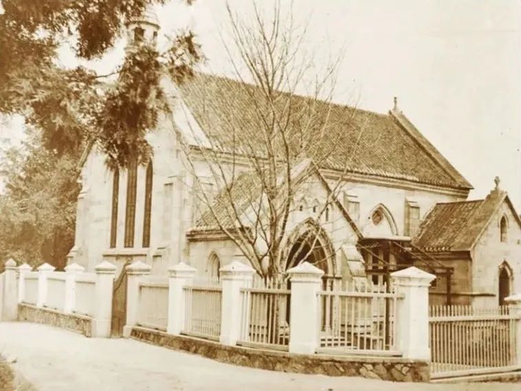 有声书｜最美银杏与百年石厝，惊艳了烟台山的时光