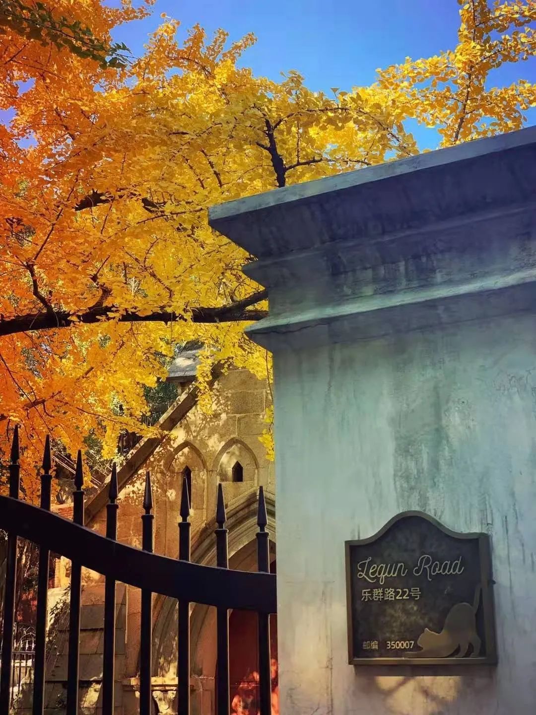 有声书｜最美银杏与百年石厝，惊艳了烟台山的时光