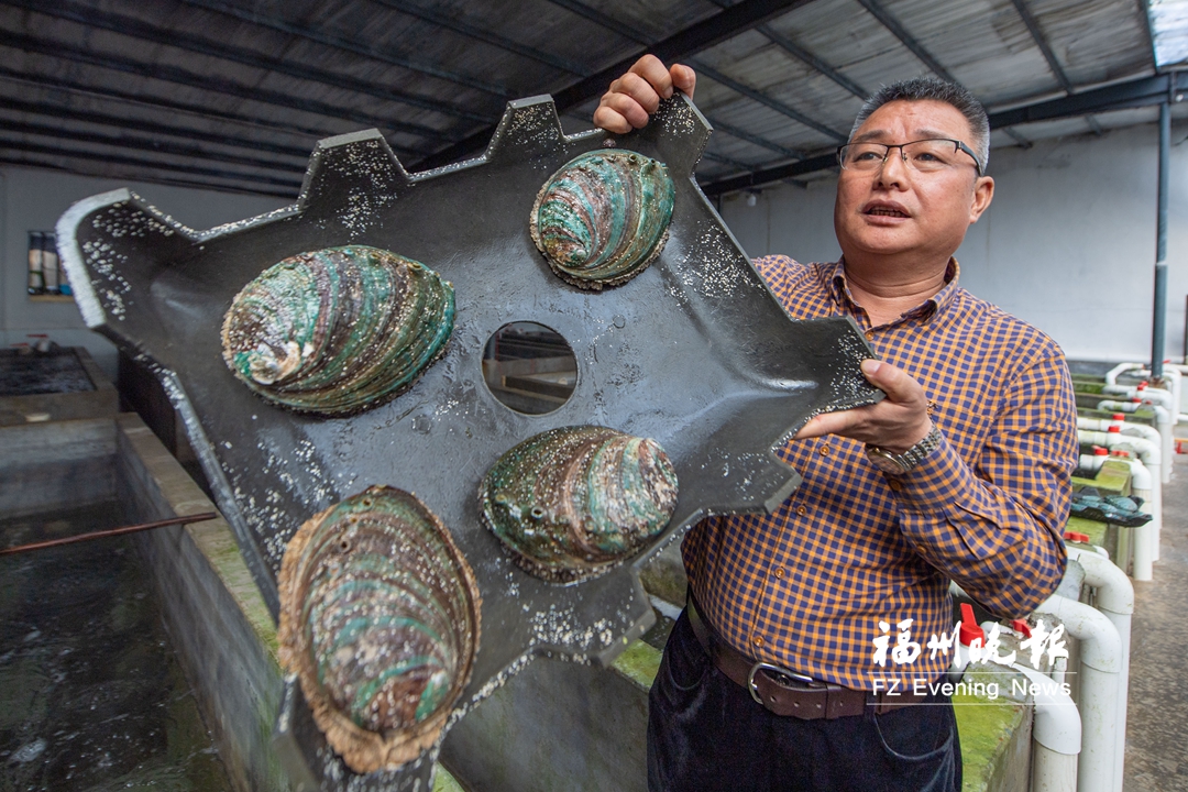 “海上福州”闯出多个全国第一