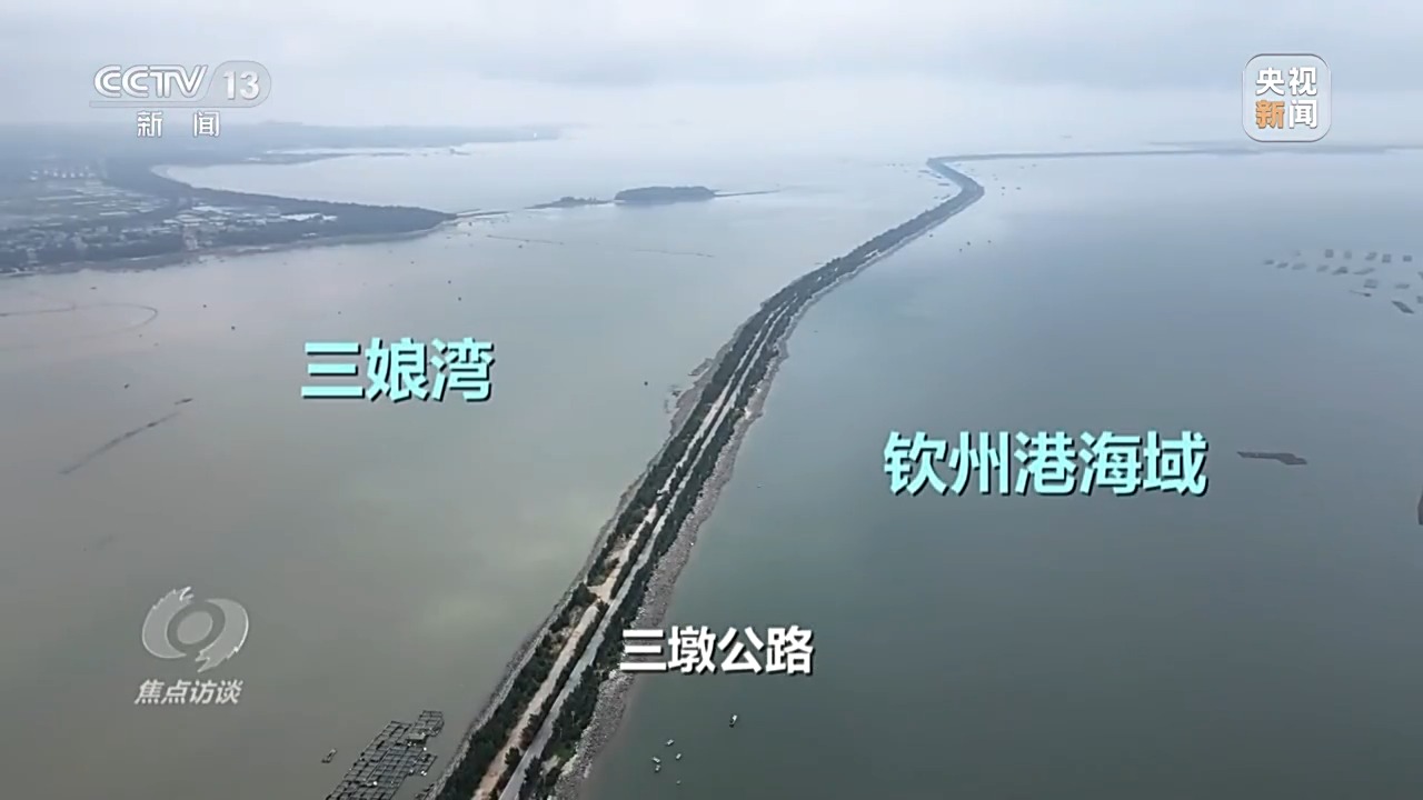 焦点访谈关注连江：物种保护+科技创新 看新质生产力如何“入海”