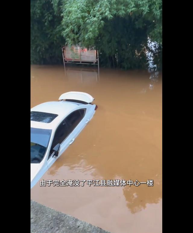 “本台报道，本台被淹”、水位逼近红绿灯高度……湖南平江遭遇特大洪水