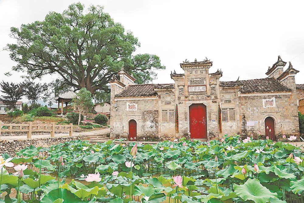 南平：逐绿奋进，争当生态文明建设典范