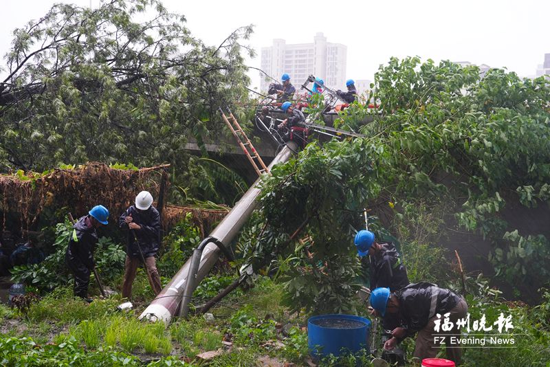 国网福州供电公司组织抢修队伍107支 顶风冒雨抢修复电