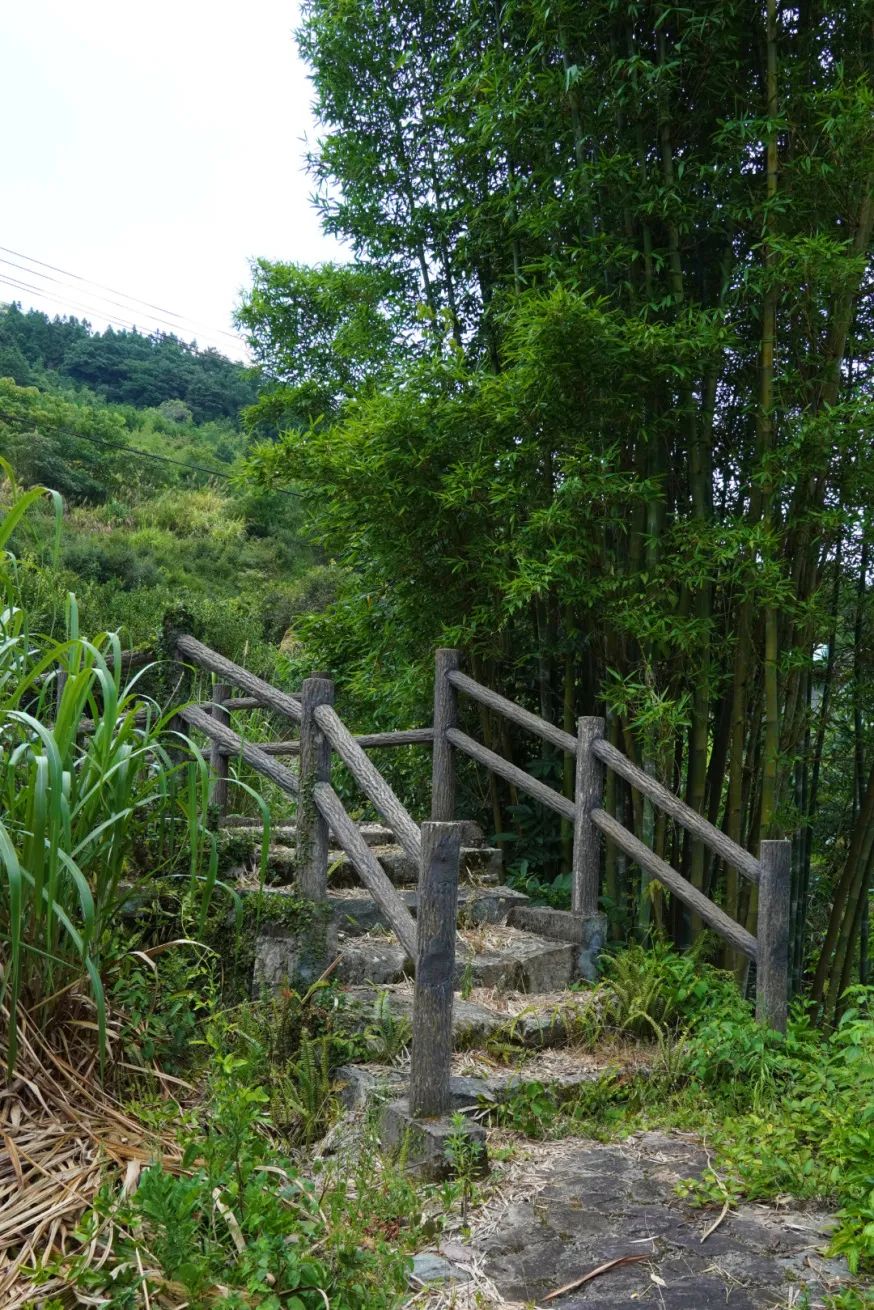 闽清“桃花源”：静听桔林小溪浅唱，心都融化了……