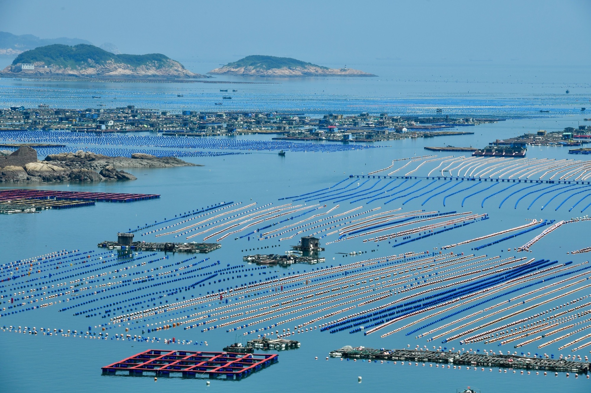 连江黄岐半岛海域：福州新增一处国家级海洋牧场