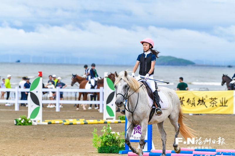 为两岸青年融合创造更多可能性——写在第十二届海青节集中活动火热开展之际