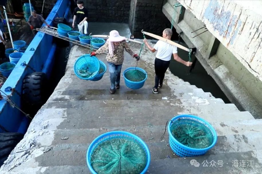 首批上岸！福州一大波海鲜来了！