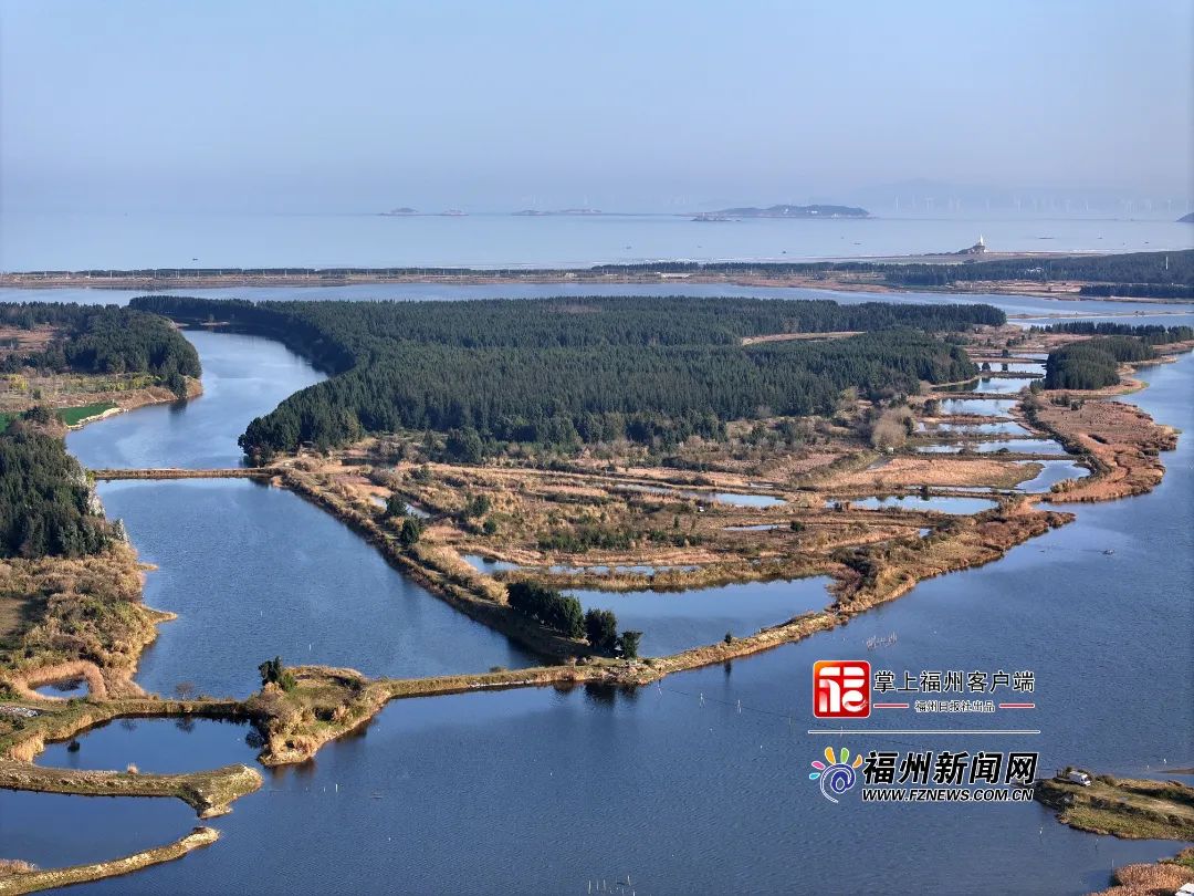 蓝海织梦，绿岸生辉——福州新区绘就生态新城好光景