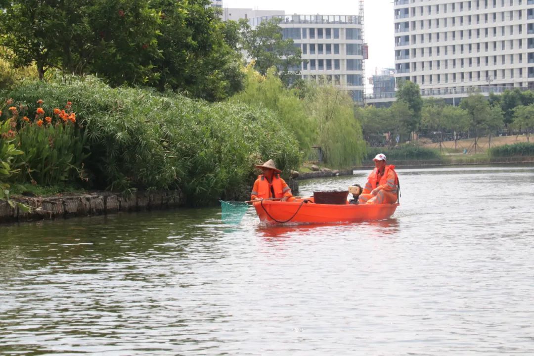 蓝海织梦，绿岸生辉——福州新区绘就生态新城好光景