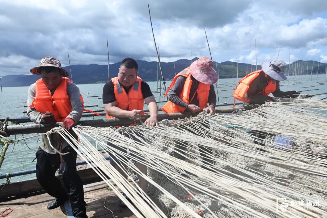 壮观！“海上织布”你见过吗？