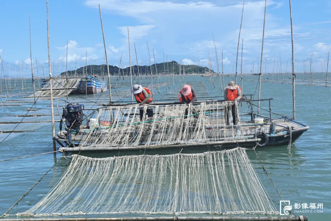 壮观！“海上织布”你见过吗？