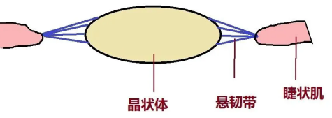 男子用筋膜枪按摩眼睛视力仅余0.1