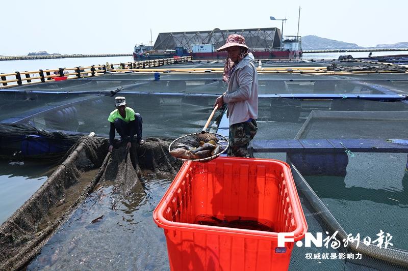 连江海味“游”上中秋餐桌