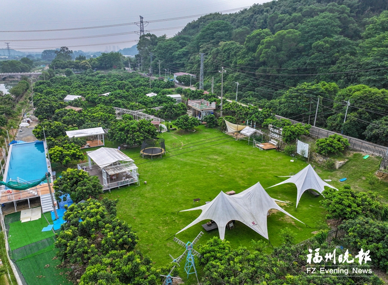 福清建新村：小“宝丸”大作为