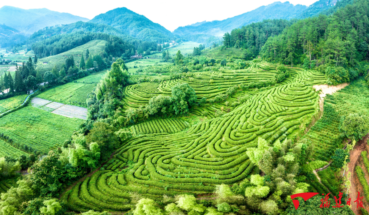 筑梦山海：“三茶”统筹新风劲吹 “百茶贸易之都”崛起