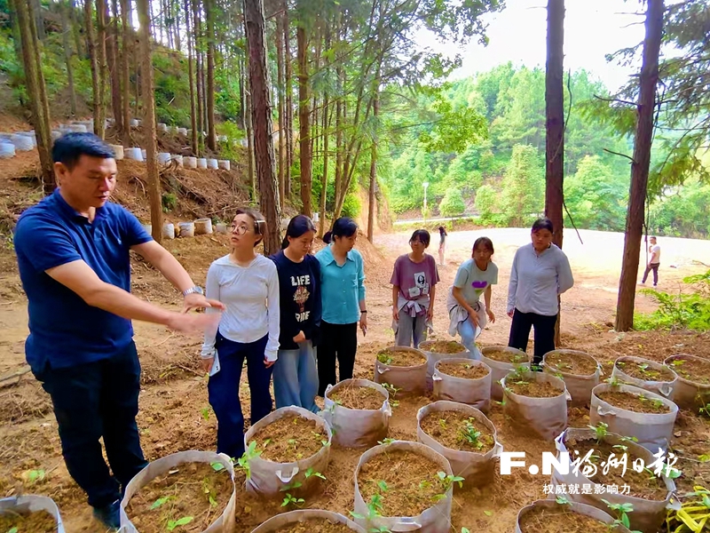 永泰引育結(jié)合加強鄉(xiāng)村人才隊伍建設：人才之花 田野綻放