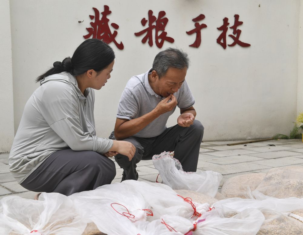 镜观·回响｜永丰稻田又迎丰