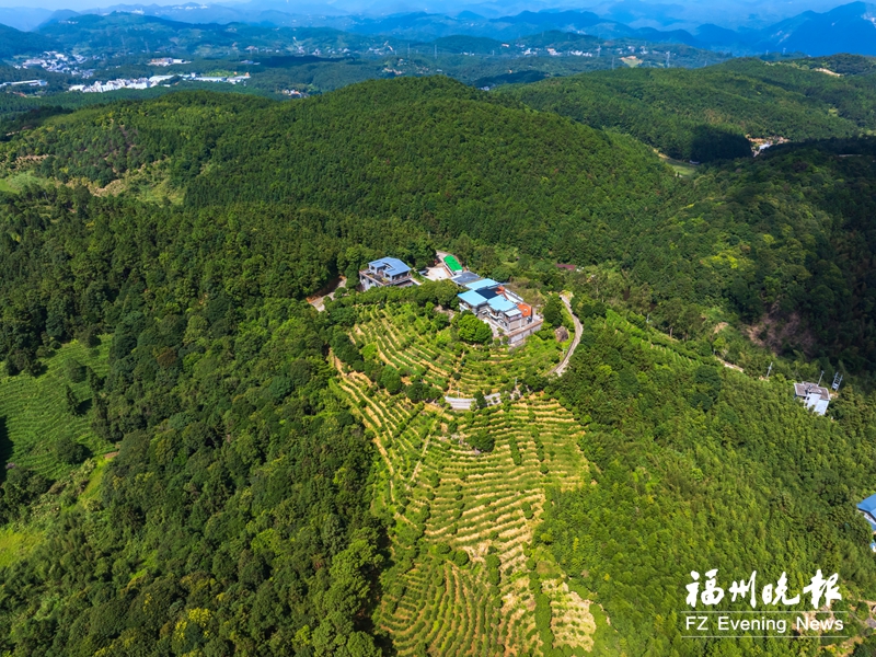 晋安弥高村的诗意栖居梦