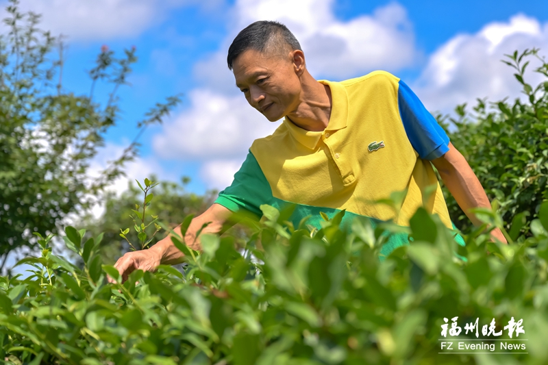 晋安弥高村的诗意栖居梦