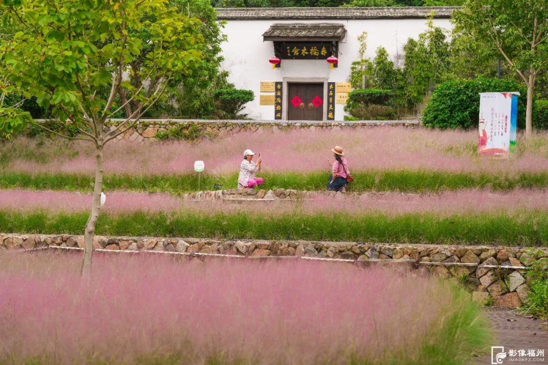 打卡！福州游园赏花好去处！