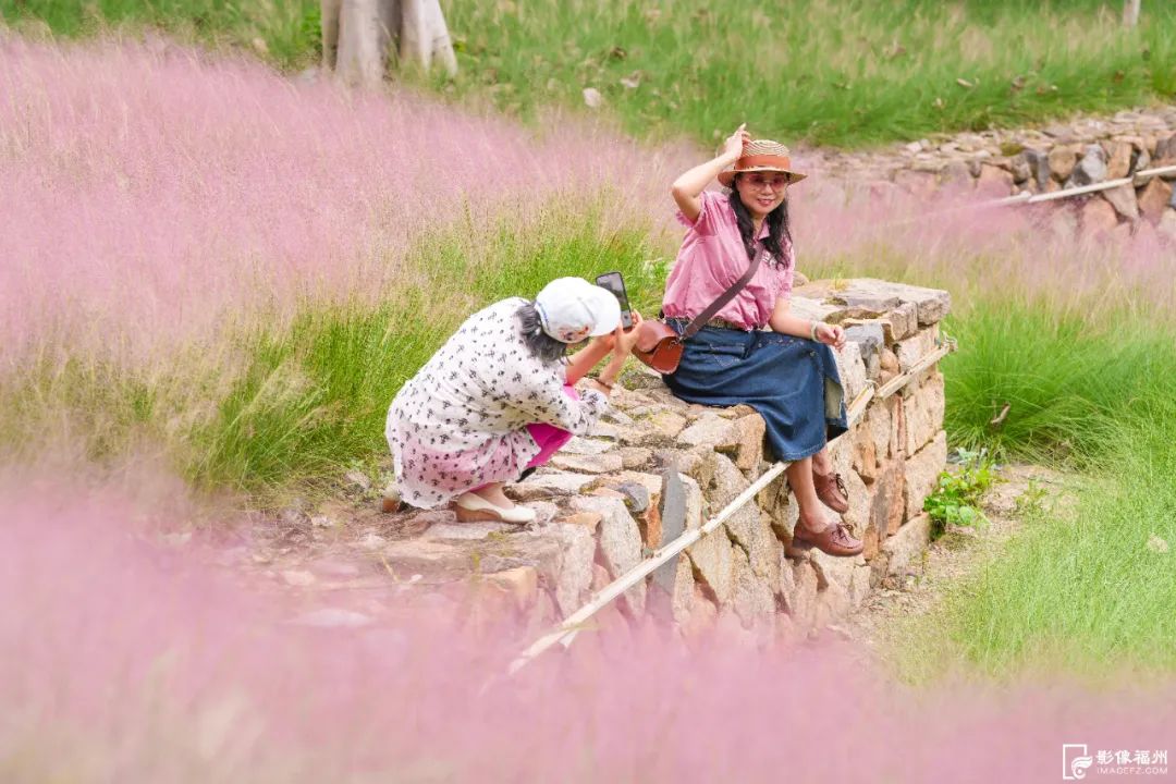 打卡！福州游园赏花好去处！