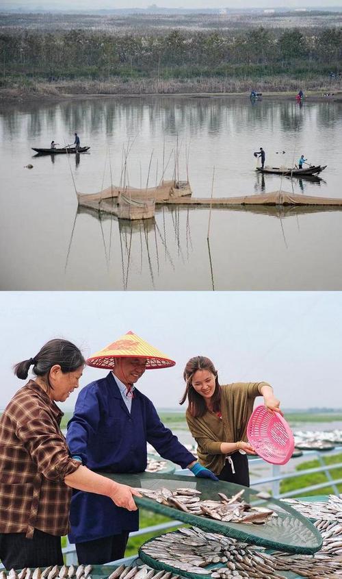 习近平总书记关切事｜人湖共生向未来——来自中部大湖的保护治理故事