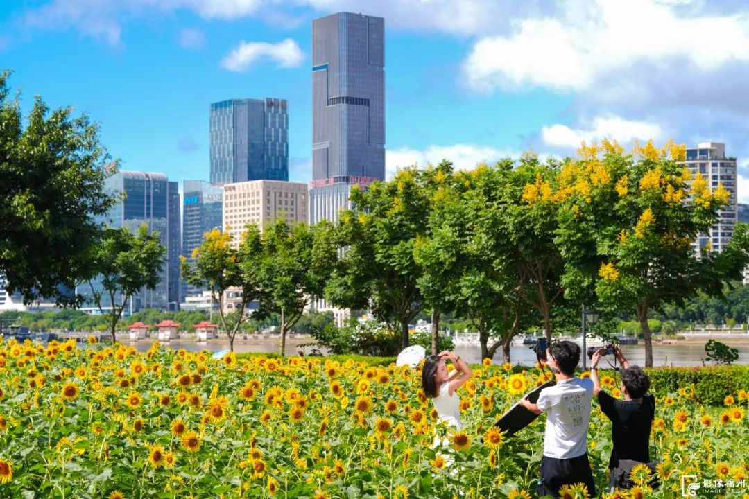 藏不住啦！福州这些绝美花海上线！快约起来~