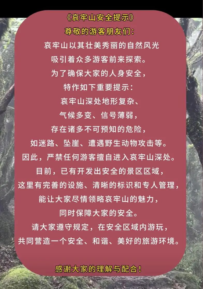 哀牢山突然爆火！紧急提示：存在不可预知危险！