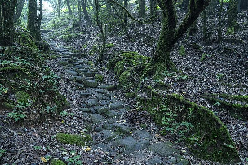 想你的风吹到了哀牢山？擅闯最高罚5000元！