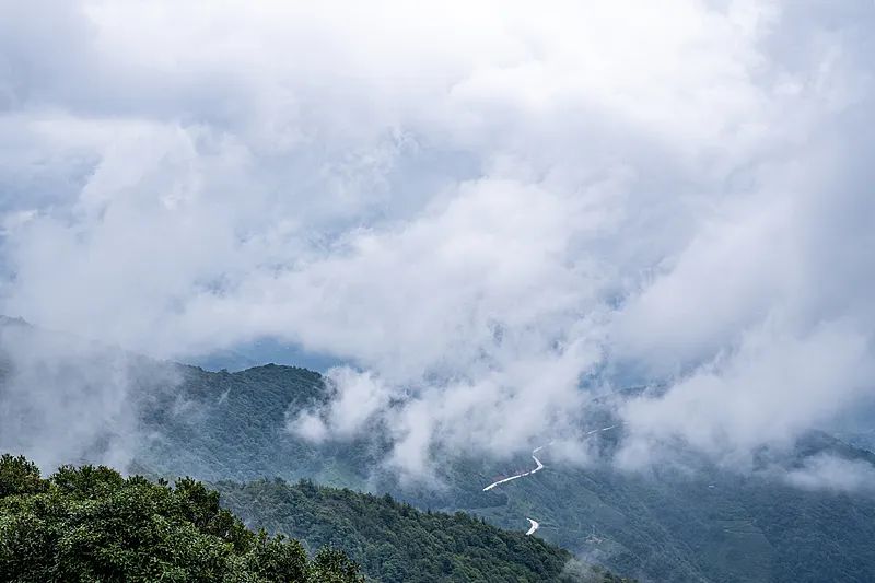 想你的风吹到了哀牢山？擅闯最高罚5000元！