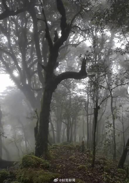 徐霞客曾在哀牢山迷路