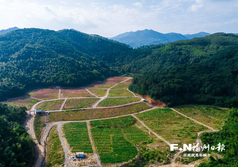 罗源县起步镇曹垅村“变废为宝” 弃渣场“披绿生金”