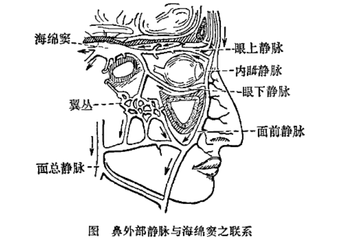 全网都在模仿“摸鼻梁”！医生：不建议经常做