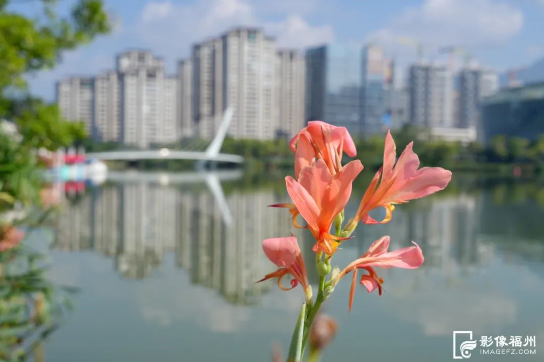 粉黄红绿橙……福州秋日美景上新！