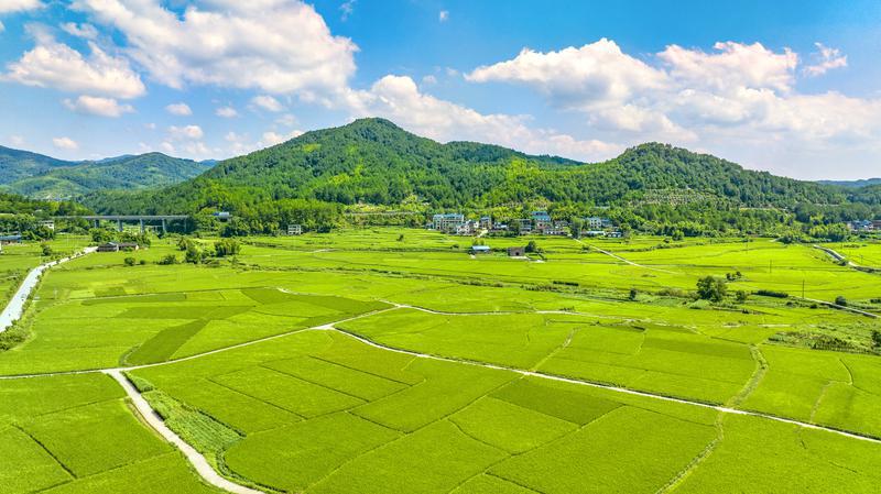 习近平总书记来闽考察时的重要讲话激励全省干部群众在乡村振兴道路上一往无前