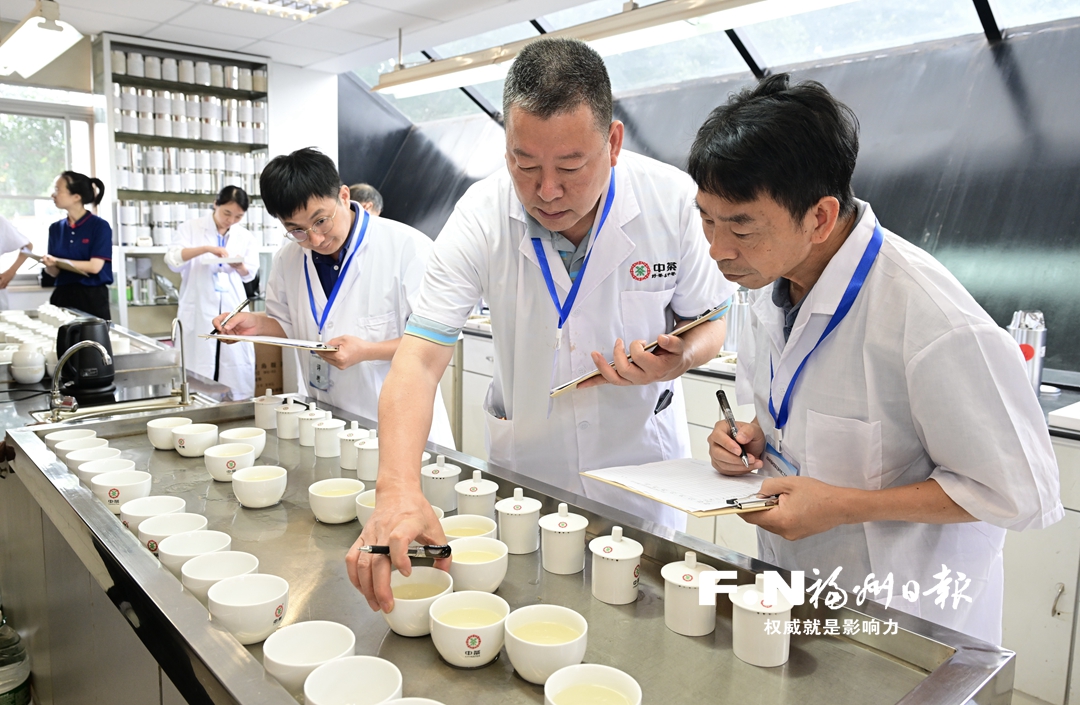 福州88个茶样角逐茉莉花茶“茶王”