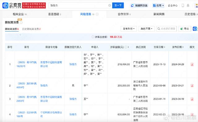 山取颜料师已被限制高消费，所持股公司已成老赖