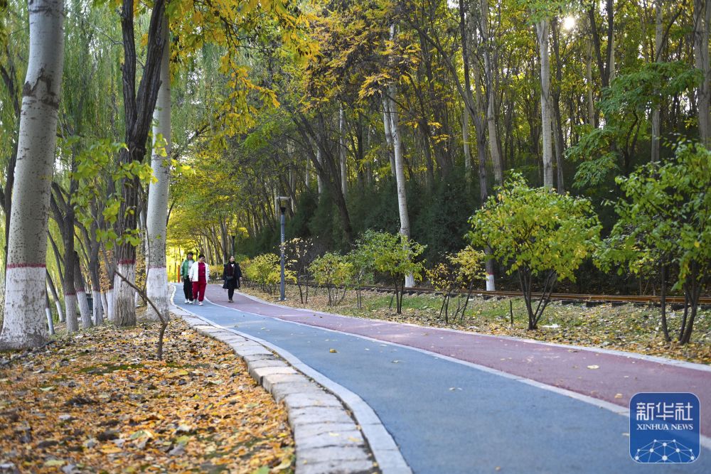 新时代中国调研行之看区域·西部篇｜宁夏银川：塞上江南生态美