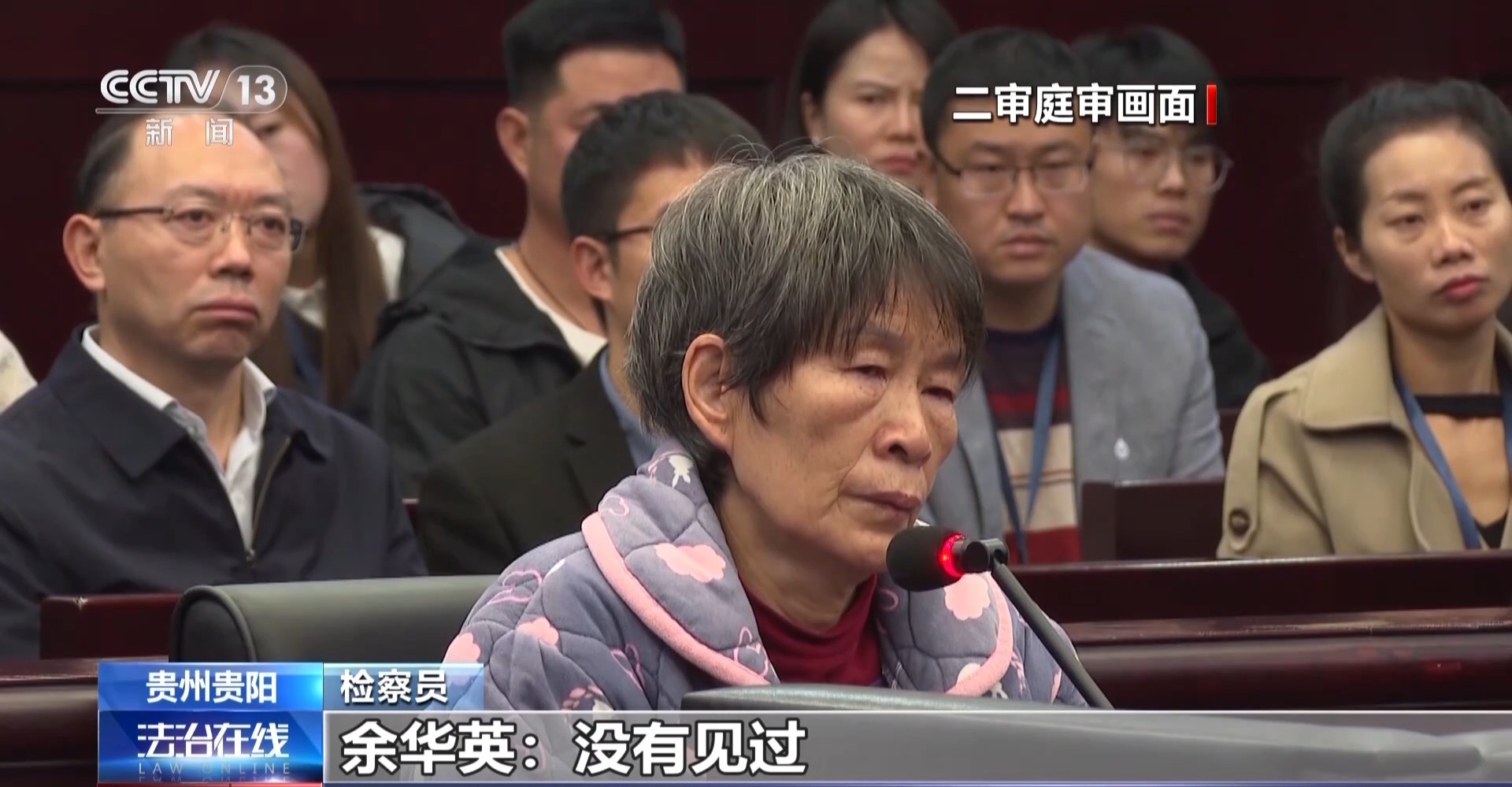 人贩子余华英被判处死刑